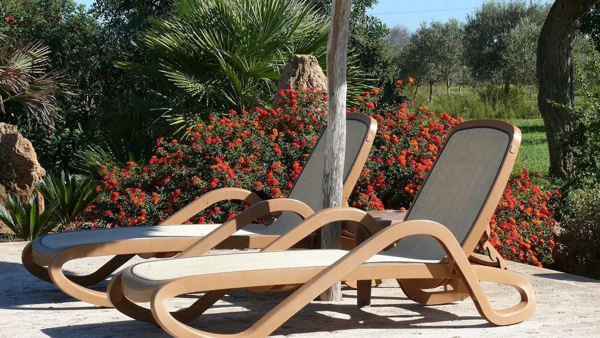 Maison d'hôtes Sa Carrotja - Adults Only à Ses Salines  Séjour à la campagne Ses Salines (Mallorca)