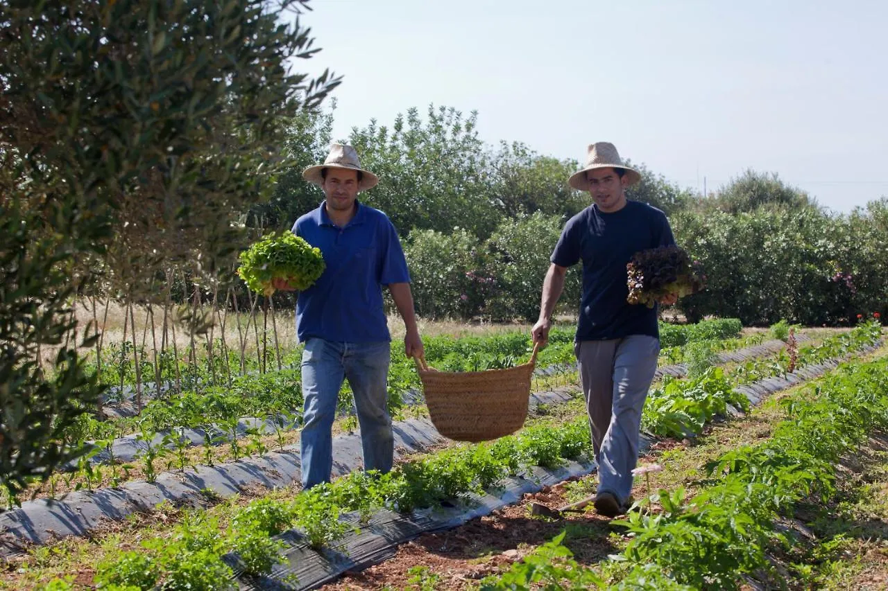 Séjour à la campagne Maison d'hôtes Sa Carrotja - Adults Only à Ses Salines  Espagne