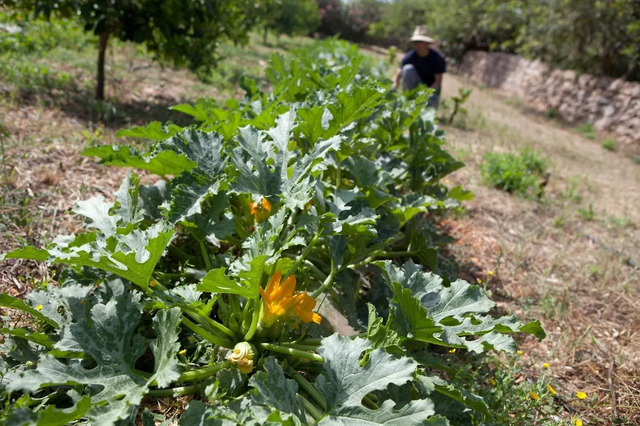 Sa Carrotja - Adults Only Guest House Ses Salines  Country house Ses Salines (Mallorca)